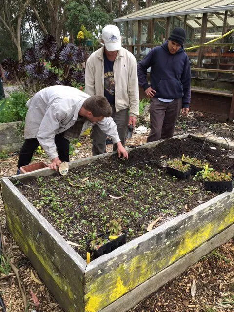 Trusted garden landscaping in San Francisco, CA by Able Gardeners