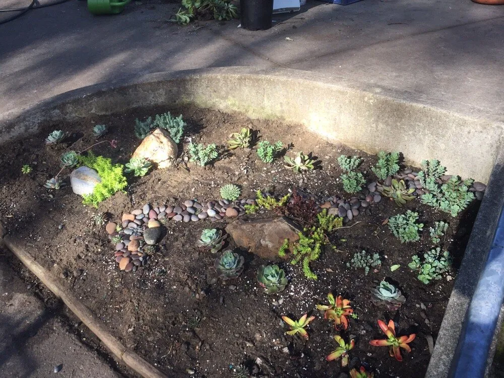 Expert landscape installation experts serving San Francisco, CA - Able Gardeners