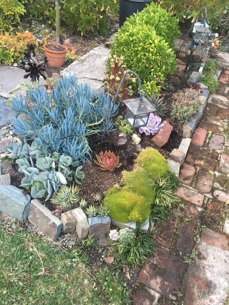 Expert garden landscaping in San Francisco, CA by Able Gardeners