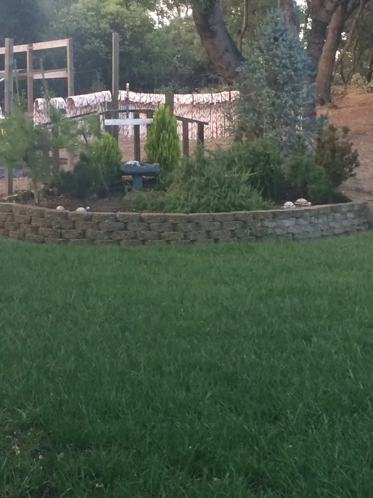 Professional landscape installation in Placerville, CA by Able Landscape & Maintenance