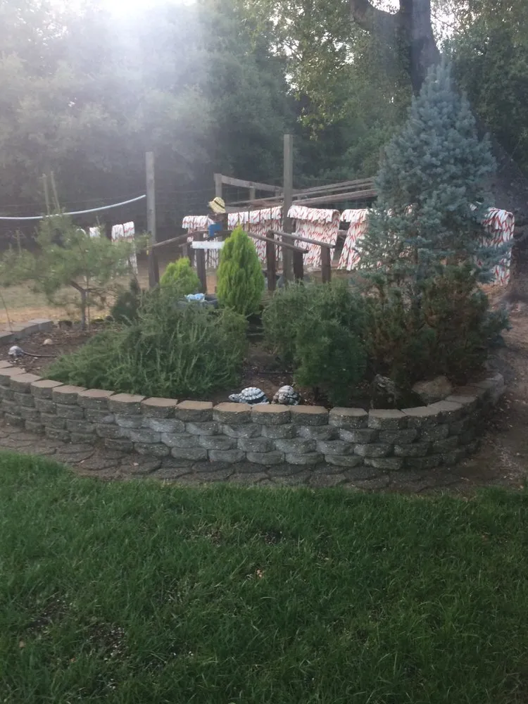 Expert landscaping services with custom design in Placerville, CA by Able Landscape & Maintenance