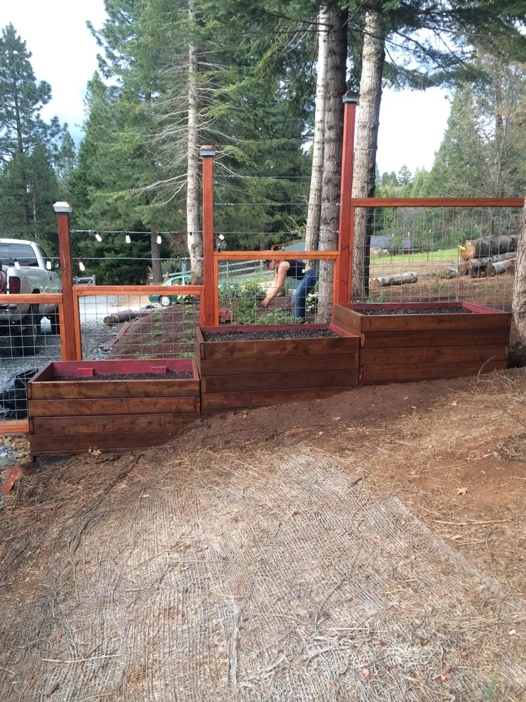 Affordable landscaping services in Placerville, CA by Able Landscape & Maintenance