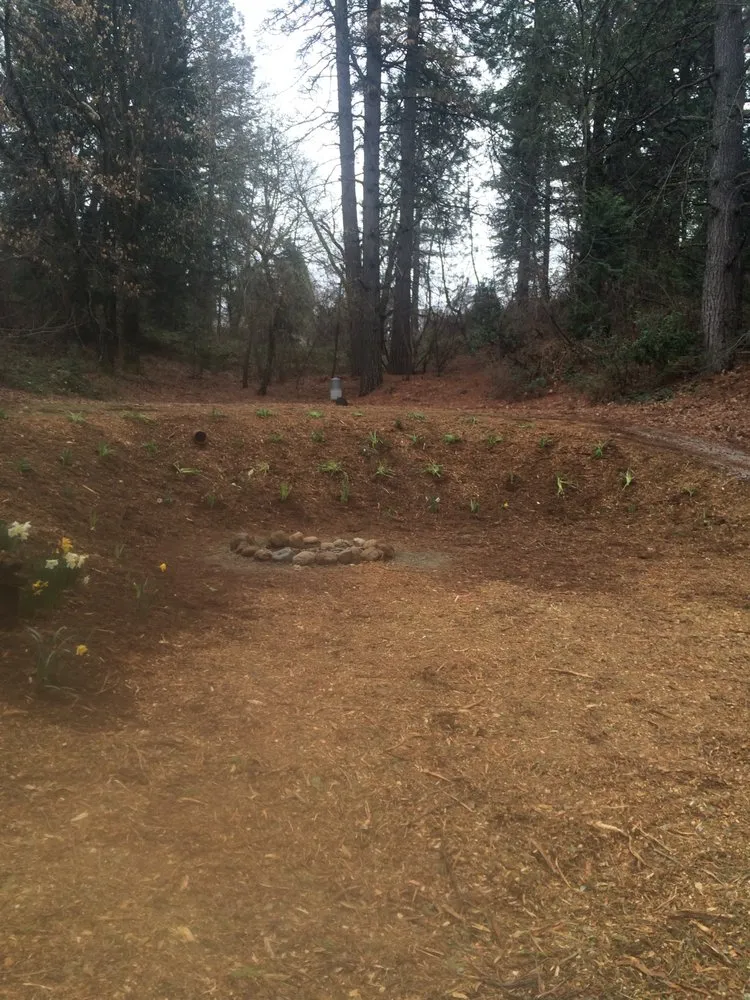 Top-rated outdoor landscaping in Placerville, CA by Able Landscape & Maintenance