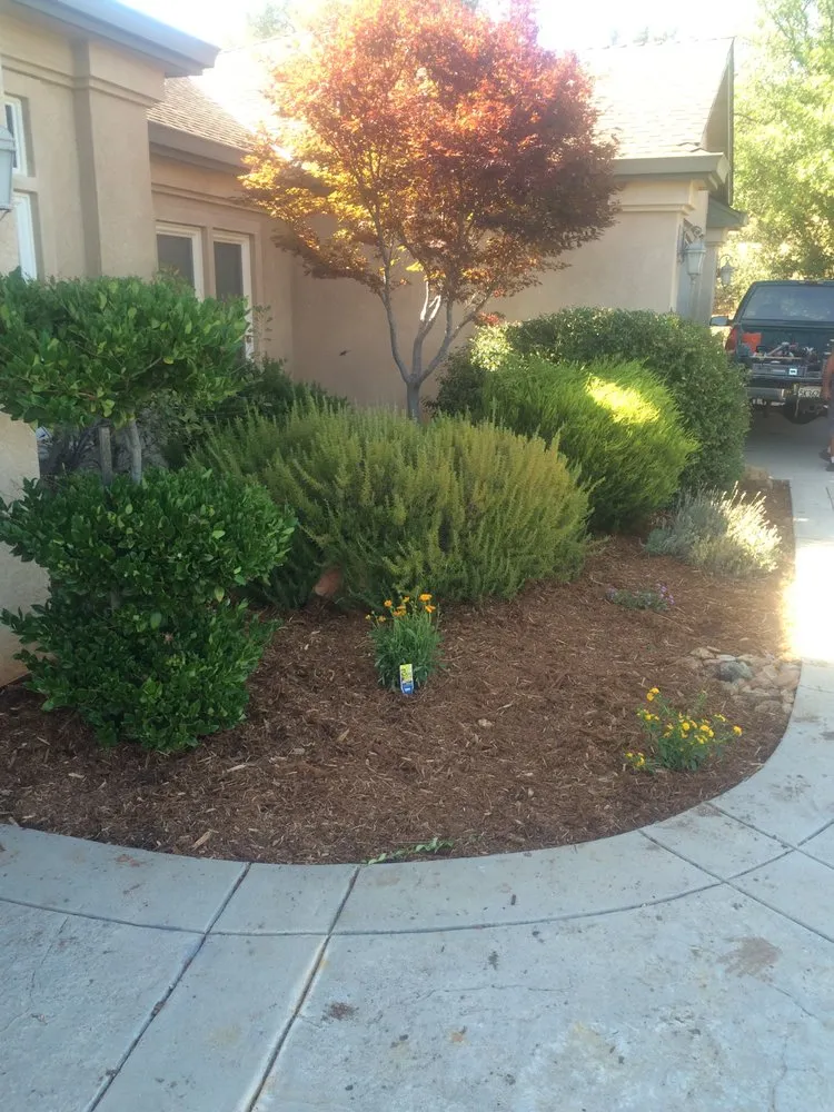 Local lawn mowing service near you in Placerville, CA by Able Landscape & Maintenance