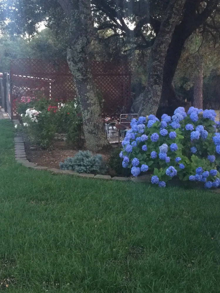 Top-rated outdoor landscaping experts serving Placerville, CA - Able Landscape & Maintenance