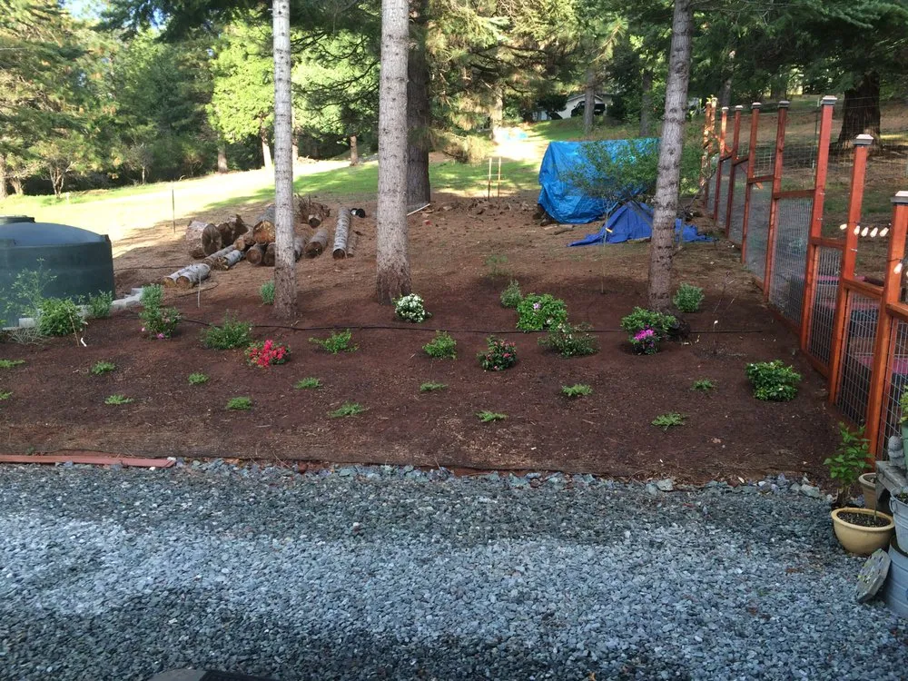 Custom garden landscaping for residential properties in Placerville, CA by Able Landscape & Maintenance