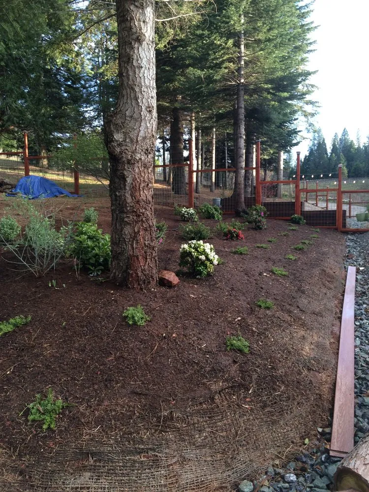 Reliable garden landscaping with custom design in Placerville, CA by Able Landscape & Maintenance