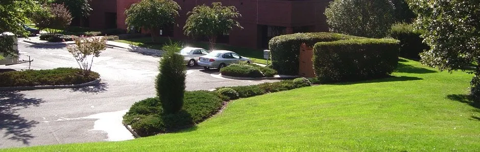 Custom yard cleanup service for year-round maintenance in Rockville, VA by Able Landscape Co