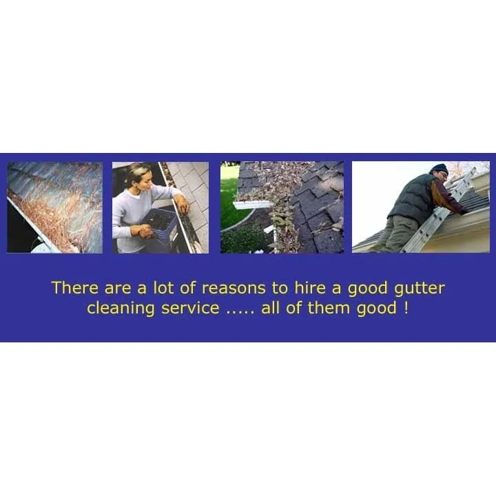 Professional yard cleanup service for outdoor upgrades across Cle Elum, WA - Able Lawn And Landscape