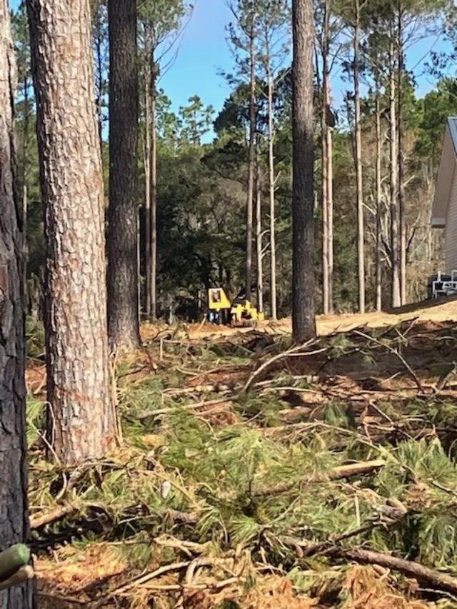 Professional landscape design near you across Madison, FL - Able Outdoors Land Services