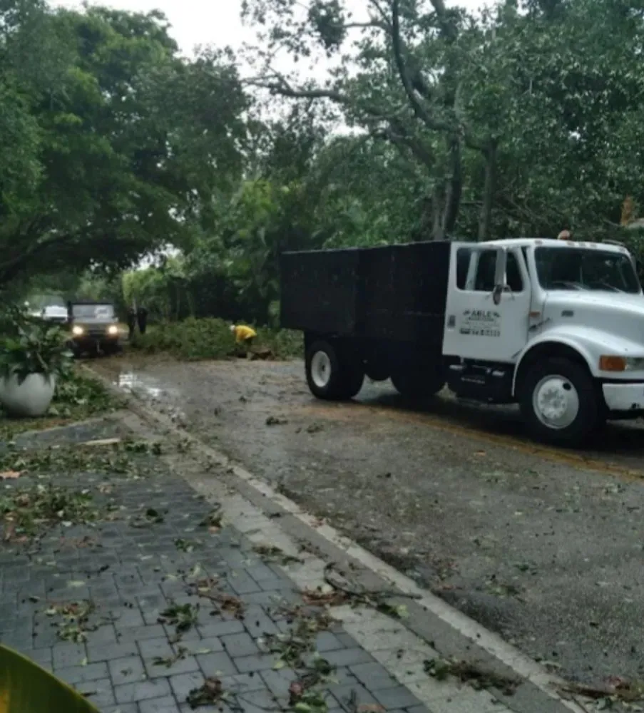 Local lawn care service experts serving Boynton Beach, FL - Able Tree Service