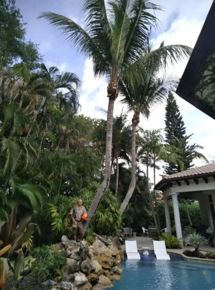Affordable yard maintenance experts serving Boynton Beach, FL - Able Tree Service