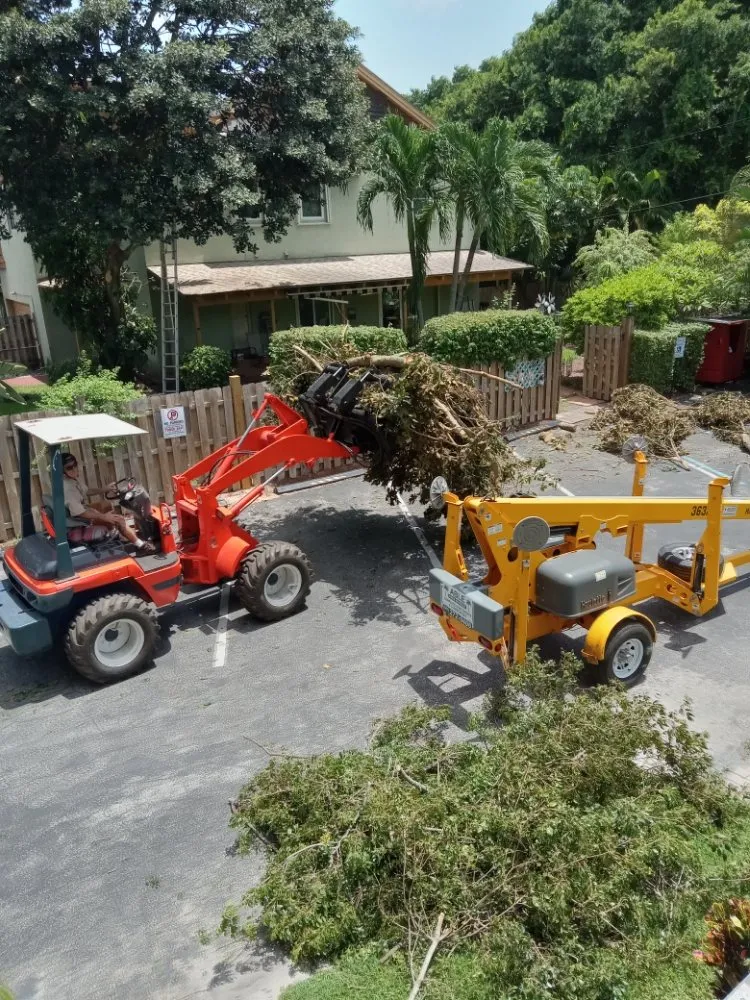 Local yard cleanup service near you in Boynton Beach, FL by Able Tree Service