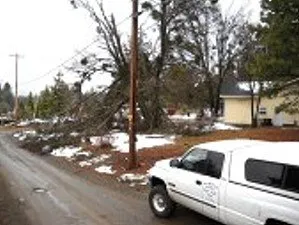 Trusted lawn care service for residential properties across Mount Shasta, CA - Able Tree Services