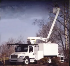 Expert lawn mowing service for homes in Mount Shasta, CA by Able Tree Services