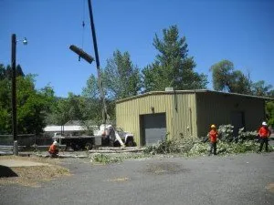 Top-rated residential landscaping in Mount Shasta, CA by Able Tree Services
