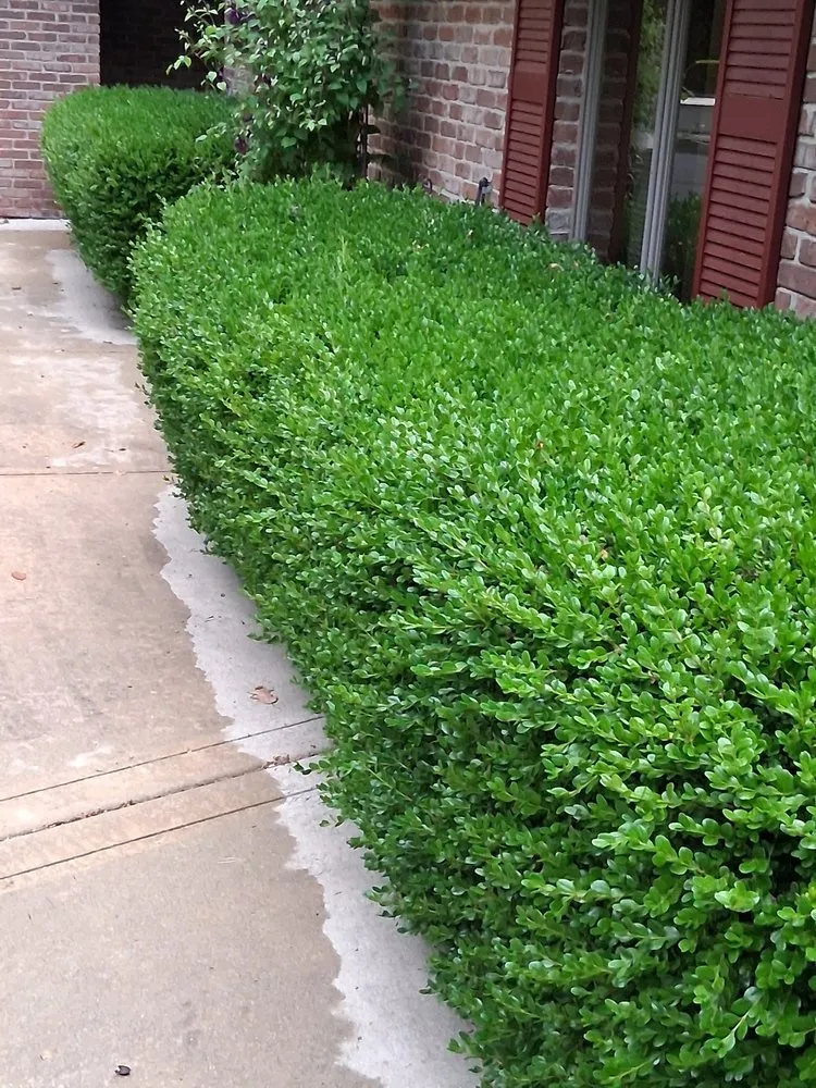Reliable lawn mowing service in Greenwood, IN by Abloom Hardscapes