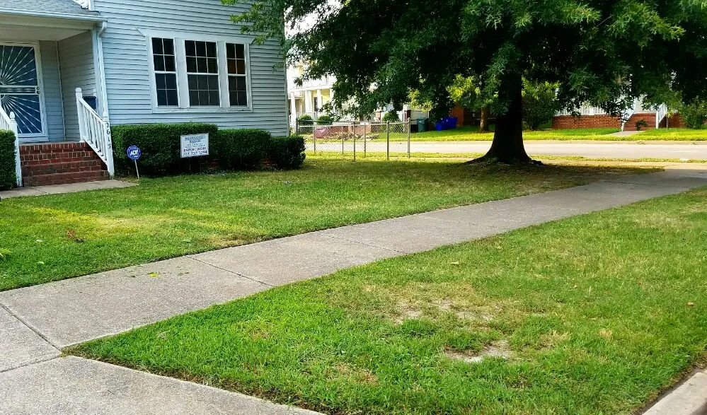 Top-rated garden landscaping near you in Norfolk, VA by ABM Lawn Care