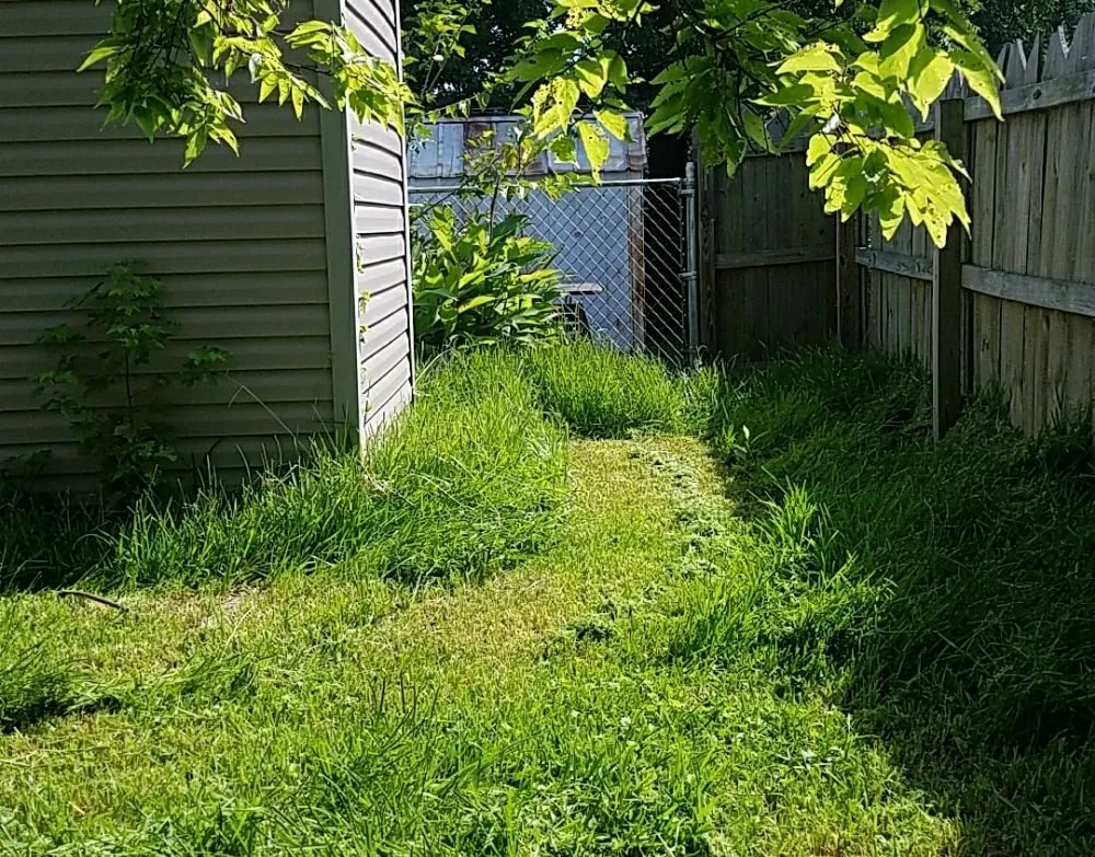 Expert landscape design in Norfolk, VA - ABM Lawn Care