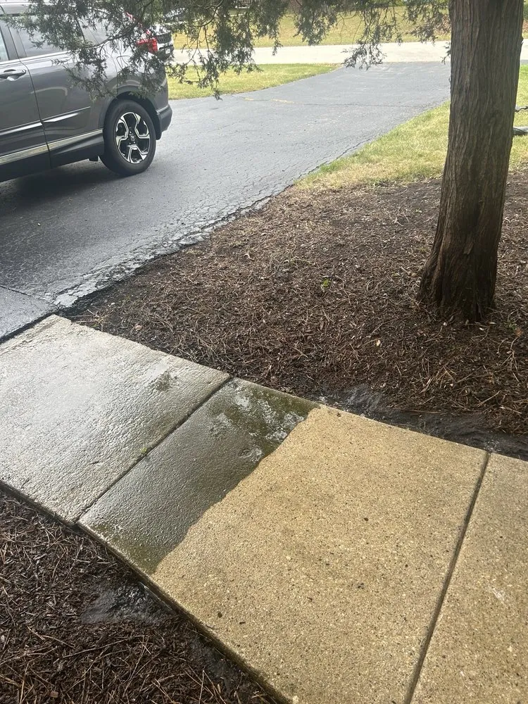 Top-rated yard cleanup service experts serving Hoffman Estates, IL - ABN Seasonal Services