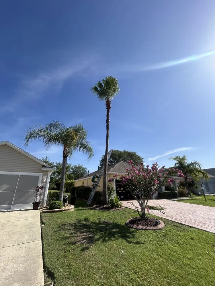 Professional outdoor landscaping for outdoor upgrades in Lady Lake, FL by Abner Lanscaping Services