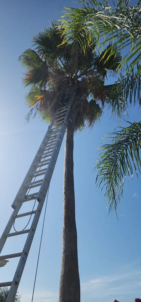 Local outdoor landscaping for outdoor upgrades across Lady Lake, FL - Abner Lanscaping Services