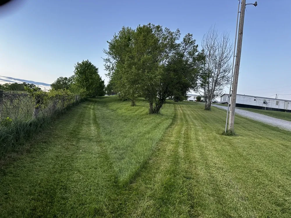 Custom yard cleanup service in Carlisle, KY by Abney Landscaping