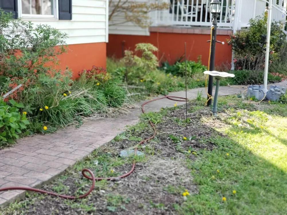 Local landscape design in Colonial Beach, VA by Abney's Property Preservation