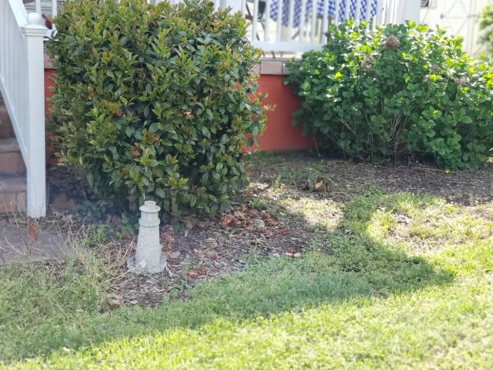 Trusted yard maintenance in Colonial Beach, VA - Abney's Property Preservation