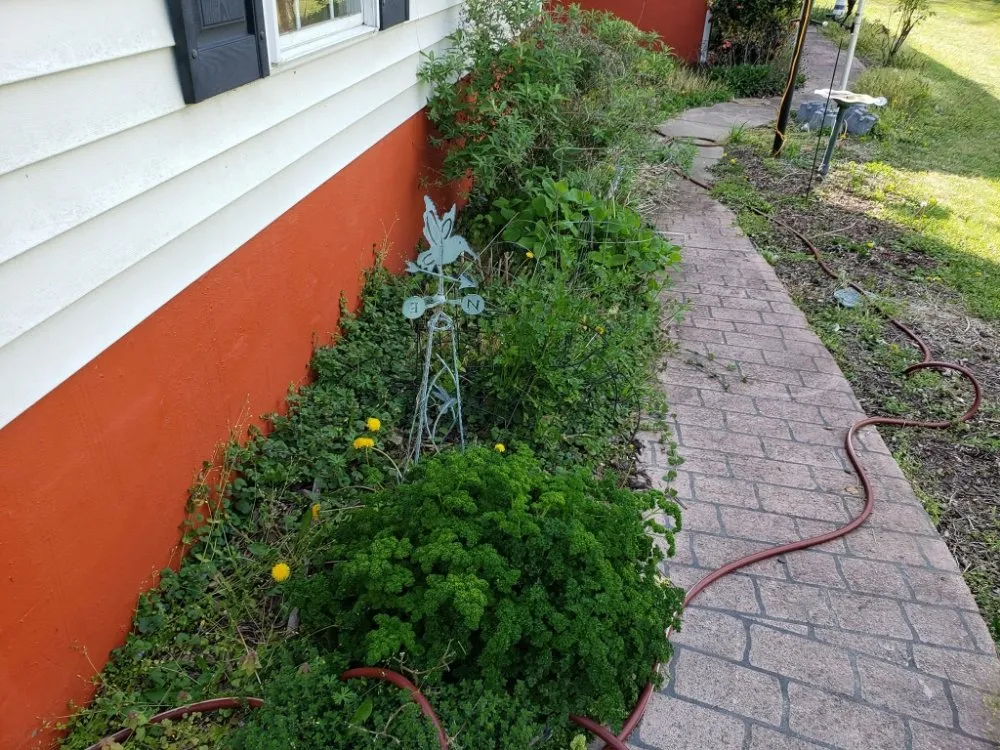 Reliable yard cleanup service in Colonial Beach, VA - Abney's Property Preservation