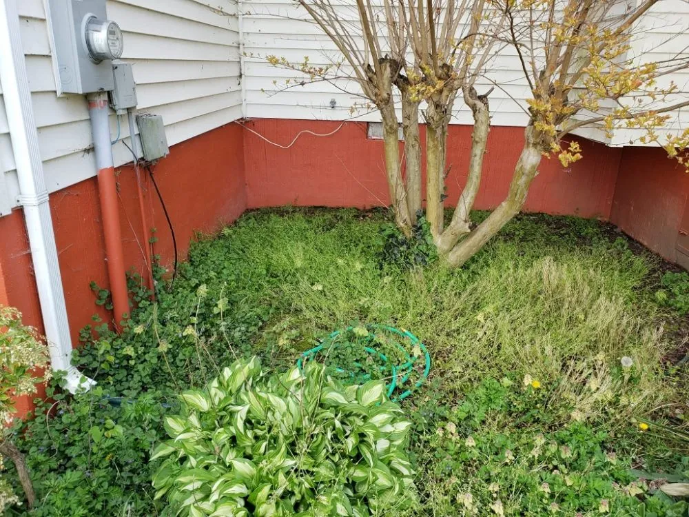 Trusted landscaping services experts serving Colonial Beach, VA - Abney's Property Preservation