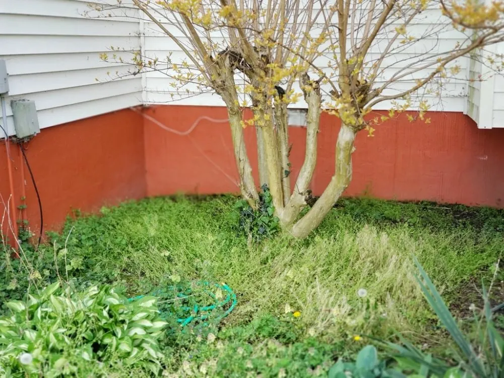 Affordable garden landscaping experts serving Colonial Beach, VA - Abney's Property Preservation