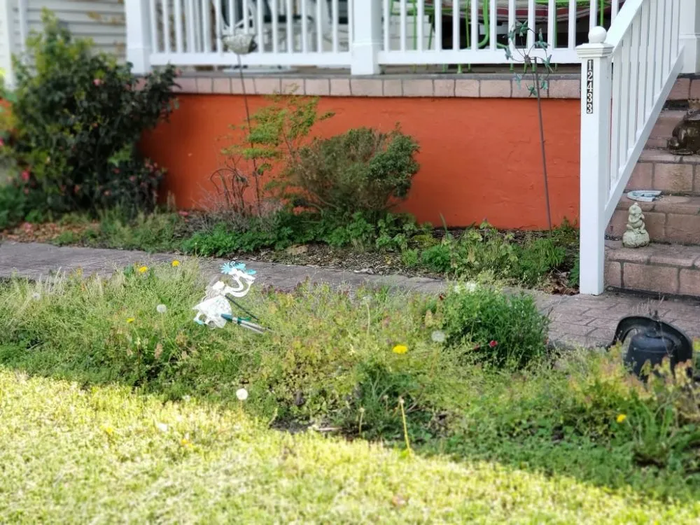 Trusted outdoor landscaping for beautiful yards in Colonial Beach, VA by Abney's Property Preservation