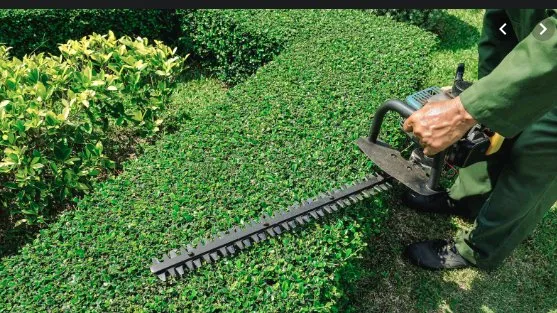 Custom residential landscaping in San Martin, CA - Abonce Landscape