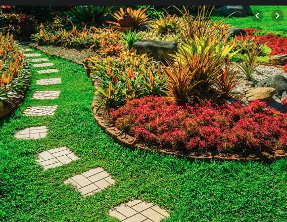 Professional lawn mowing service in San Martin, CA by Abonce Landscape