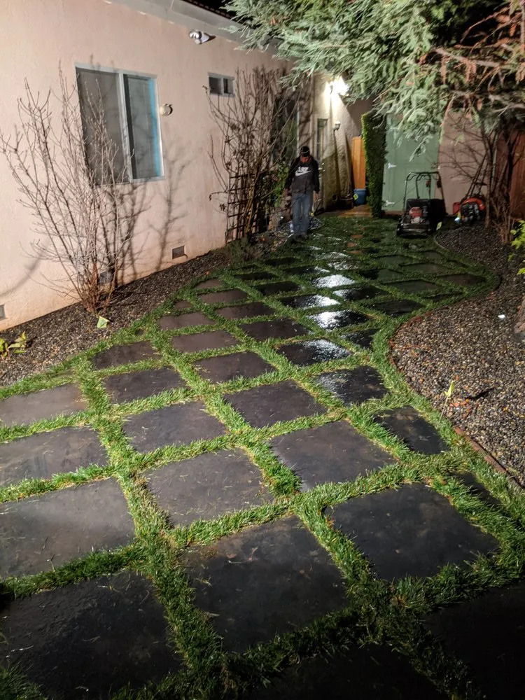 Affordable yard cleanup service for residential properties in San Martin, CA by Abonce Landscape
