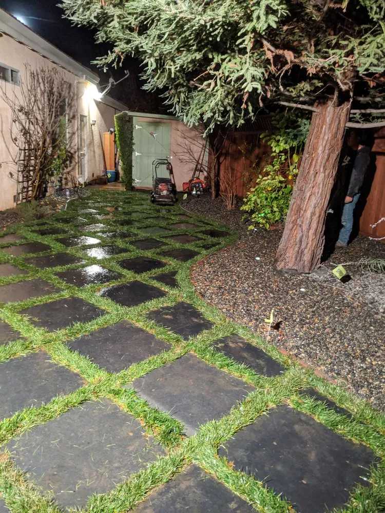 Professional yard cleanup service in San Martin, CA - Abonce Landscape