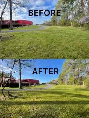 Abonza Lawn Service