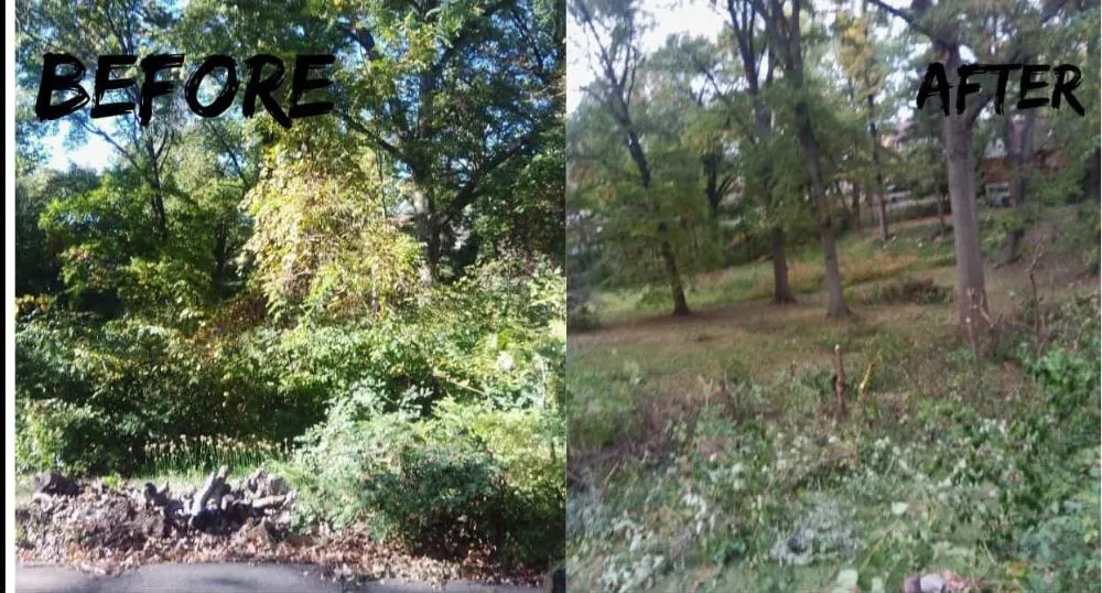 Trusted garden landscaping experts serving Cincinnati, OH - Aboubacar Landscaping