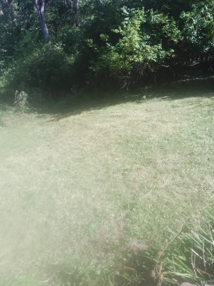 Custom lawn mowing service for homes across Cincinnati, OH - Aboubacar Landscaping