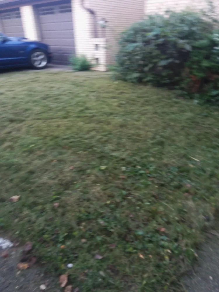 Top-rated landscape installation in Cincinnati, OH - Aboubacar Landscaping