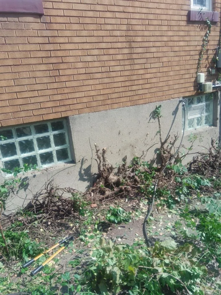 Reliable yard maintenance for outdoor upgrades in Cincinnati, OH by Aboubacar Landscaping