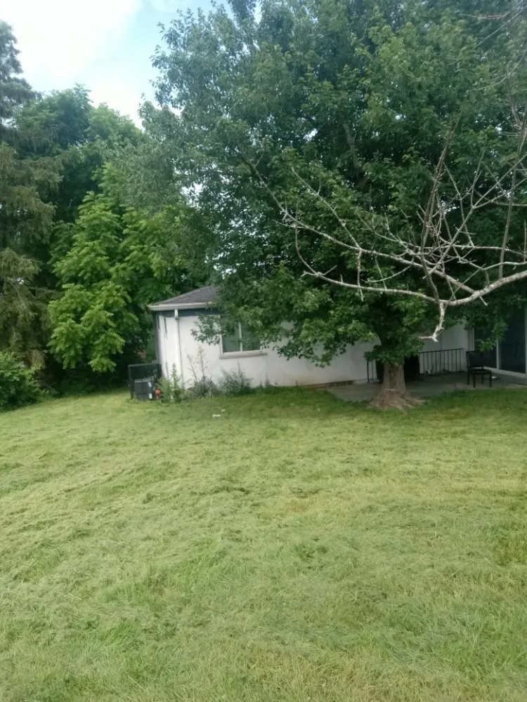 Expert lawn care service experts serving Cincinnati, OH - Aboubacar Landscaping