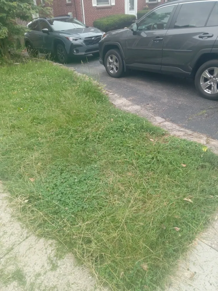 Top-rated lawn care service in Cincinnati, OH by Aboubacar Landscaping