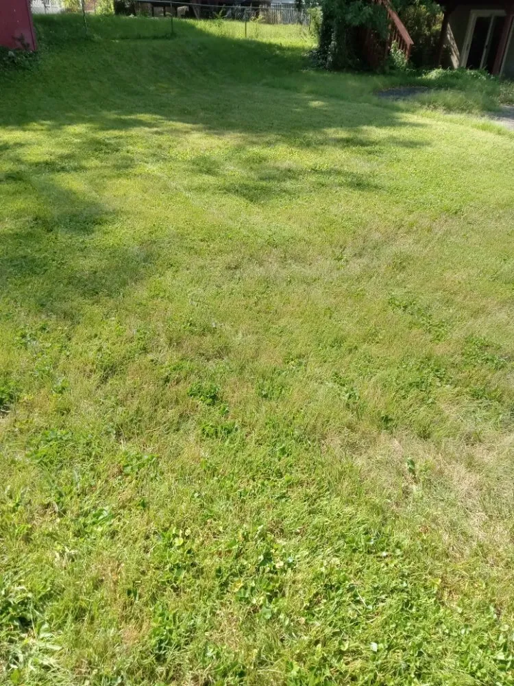 Affordable landscape installation experts serving Cincinnati, OH - Aboubacar Landscaping