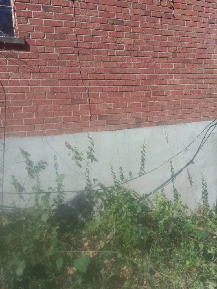 Expert yard cleanup service in Cincinnati, OH by Aboubacar Landscaping