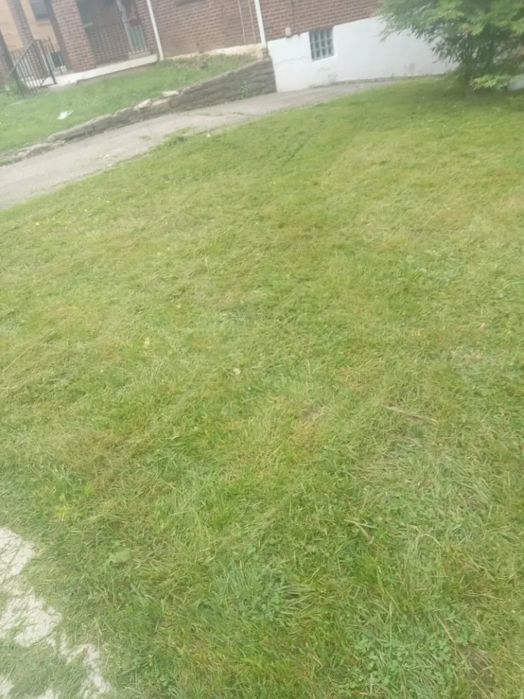 Reliable garden landscaping in Cincinnati, OH - Aboubacar Landscaping