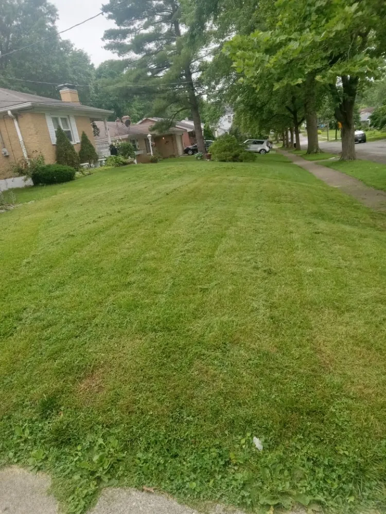 Trusted landscape design experts serving Cincinnati, OH - Aboubacar Landscaping