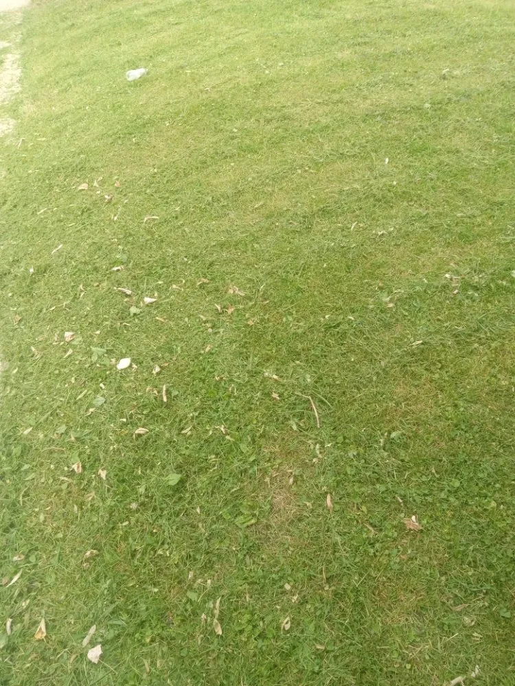 Local garden landscaping for residential properties in Cincinnati, OH by Aboubacar Landscaping