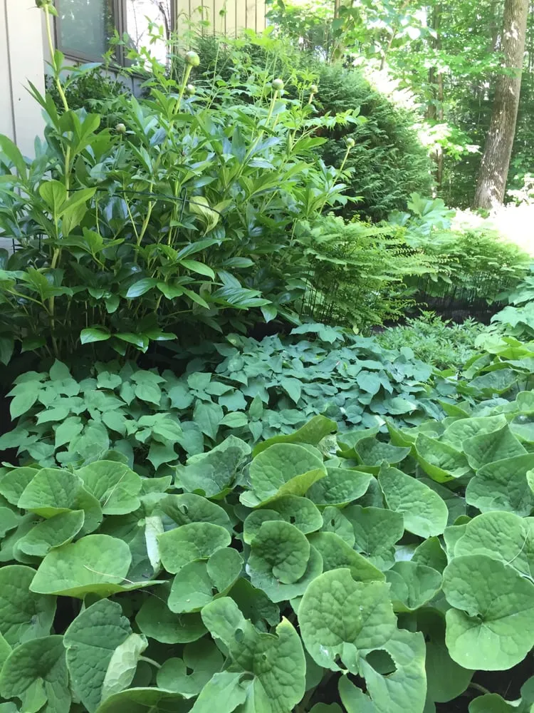 Affordable landscape installation near you in Leverett, MA by Abound Design